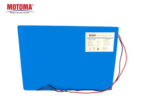 MOTOMA LiFePO4 Solar Street Light Battery 25.6V 44Ah
